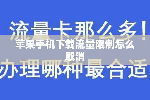 苹果手机下载流量限制怎么取消