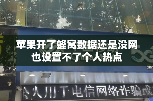 苹果开了蜂窝数据还是没网也设置不了个人热点