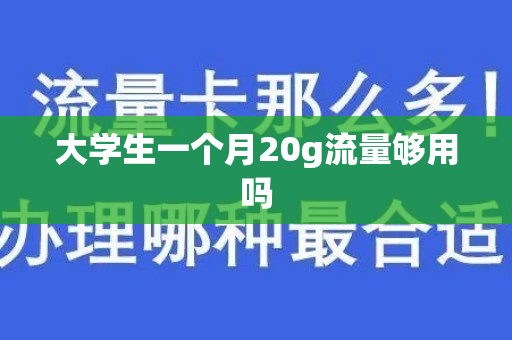 大学生一个月20g流量够用吗