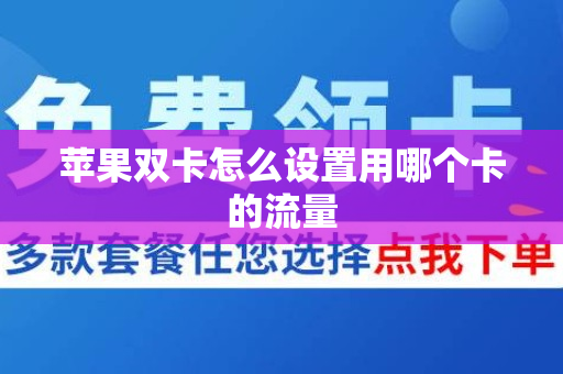 苹果双卡怎么设置用哪个卡的流量