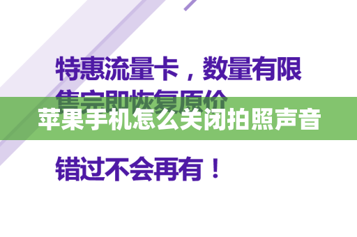 苹果手机怎么关闭拍照声音