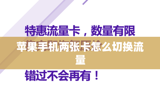 苹果手机两张卡怎么切换流量