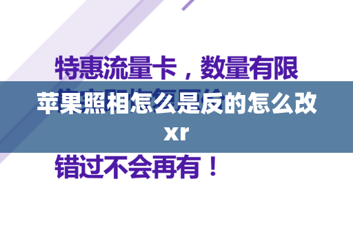 苹果照相怎么是反的怎么改xr