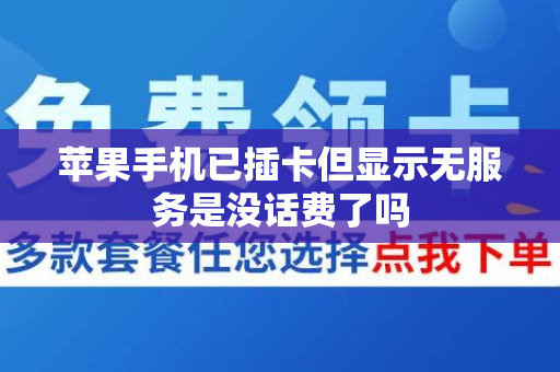 苹果手机已插卡但显示无服务是没话费了吗