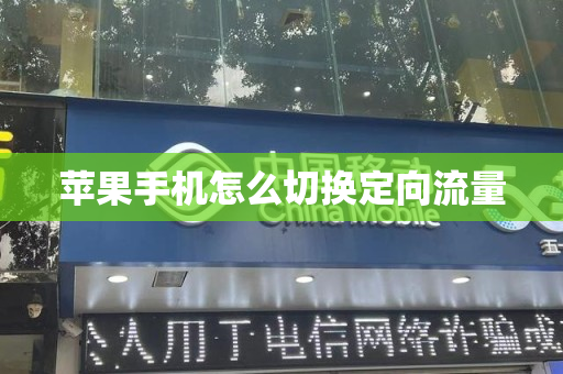 苹果手机怎么切换定向流量
