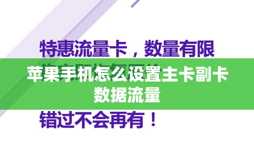 苹果手机怎么设置主卡副卡数据流量