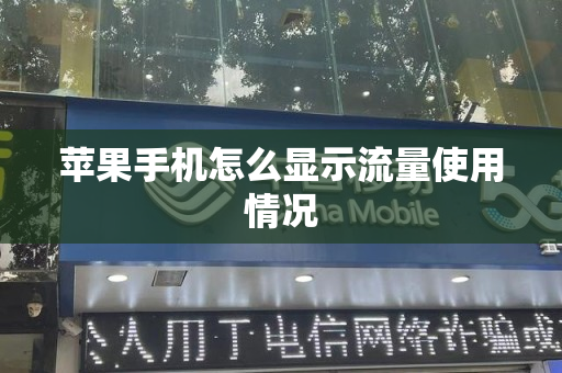 苹果手机怎么显示流量使用情况