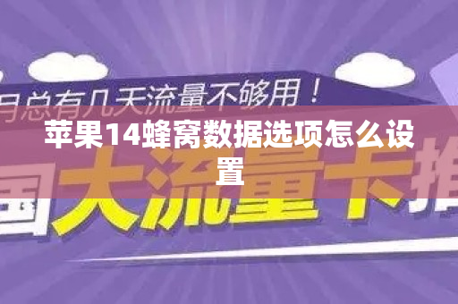 苹果14蜂窝数据选项怎么设置