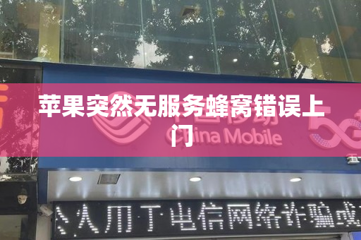苹果突然无服务蜂窝错误上门