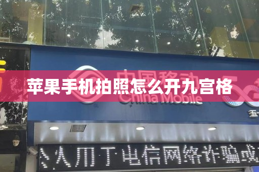 苹果手机拍照怎么开九宫格