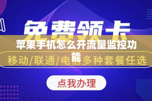 苹果手机怎么开流量监控功能