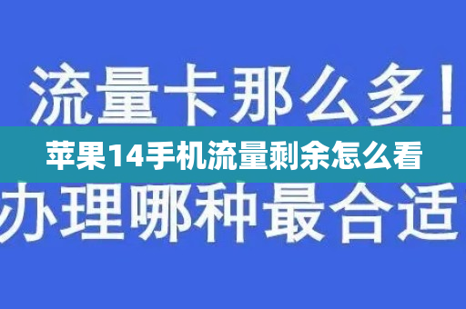 苹果14手机流量剩余怎么看