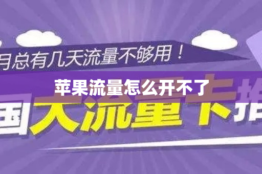 苹果流量怎么开不了