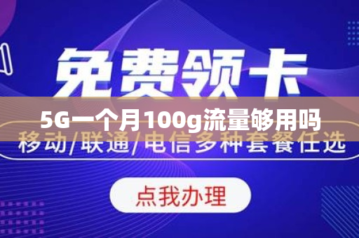 5G一个月100g流量够用吗