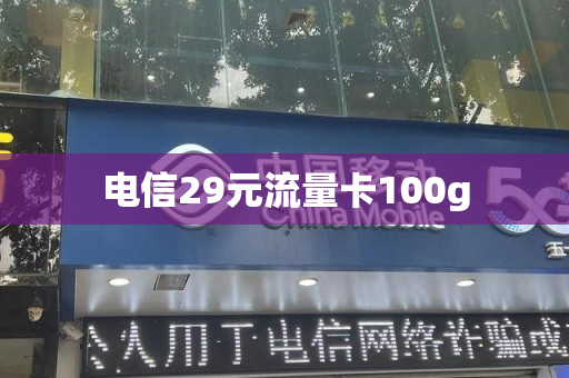 电信29元流量卡100g