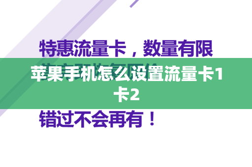 苹果手机怎么设置流量卡1卡2