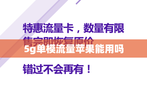 5g单模流量苹果能用吗