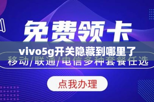 vivo5g开关隐藏到哪里了