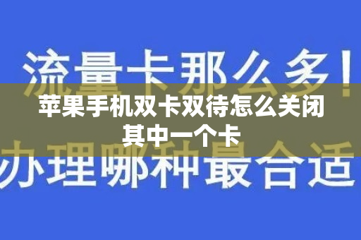 苹果手机双卡双待怎么关闭其中一个卡