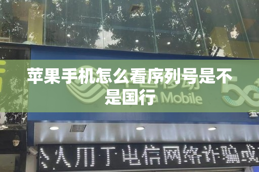 苹果手机怎么看序列号是不是国行