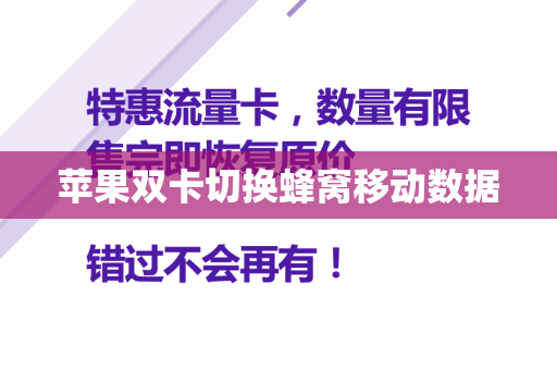苹果双卡切换蜂窝移动数据