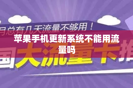 苹果手机更新系统不能用流量吗