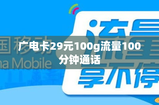 广电卡29元100g流量100分钟通话