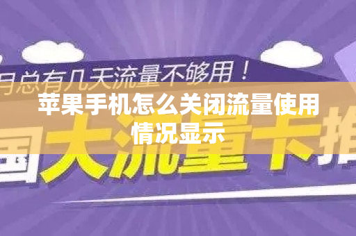 苹果手机怎么关闭流量使用情况显示