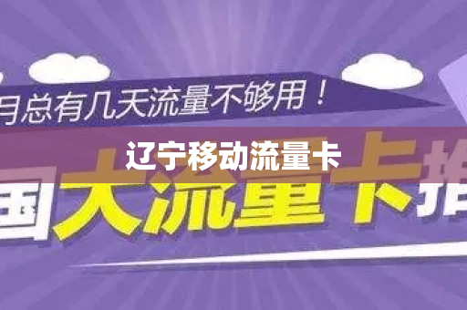 辽宁移动流量卡