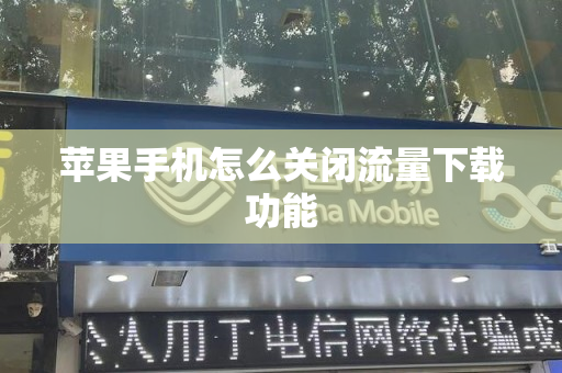 苹果手机怎么关闭流量下载功能