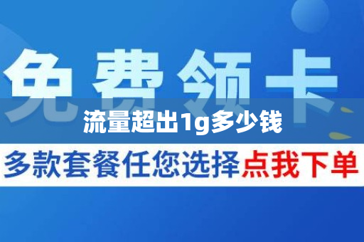 流量超出1g多少钱