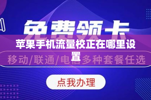 苹果手机流量校正在哪里设置