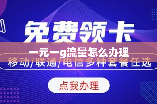 一元一g流量怎么办理