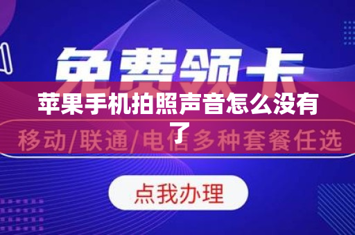 苹果手机拍照声音怎么没有了