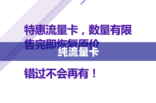 纯流量卡