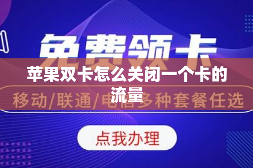 苹果双卡怎么关闭一个卡的流量