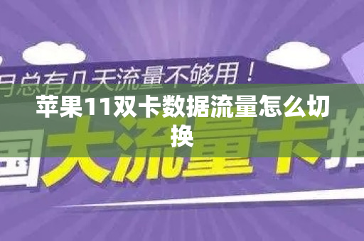 苹果11双卡数据流量怎么切换