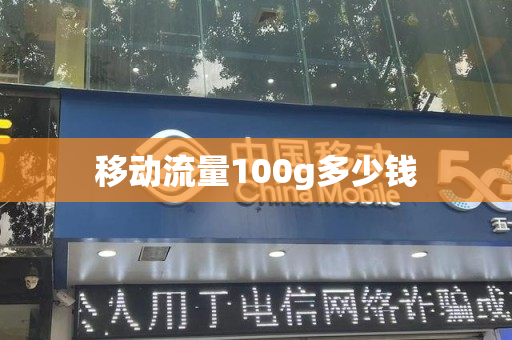 移动流量100g多少钱