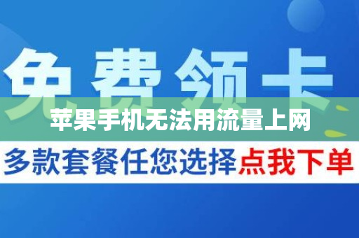 苹果手机无法用流量上网
