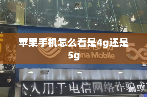 苹果手机怎么看是4g还是5g