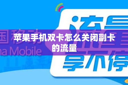 苹果手机双卡怎么关闭副卡的流量