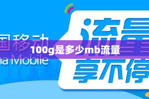 100g是多少mb流量