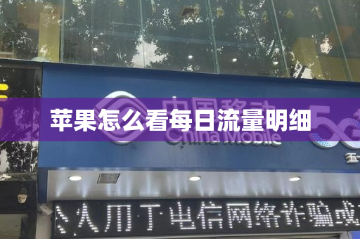 苹果怎么看每日流量明细