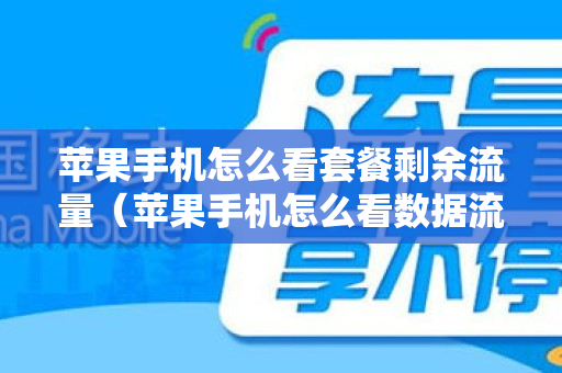 苹果手机怎么看套餐剩余流量（苹果手机怎么看数据流量使用情况）