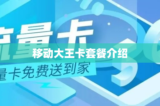 移动大王卡套餐介绍
