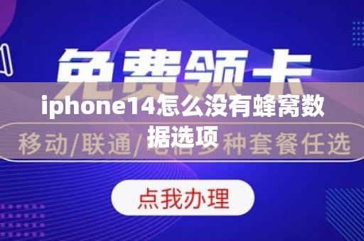 iphone14怎么没有蜂窝数据选项