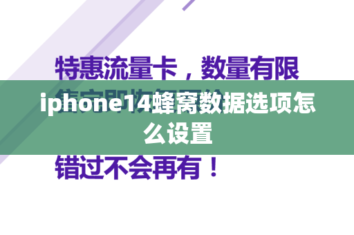 iphone14蜂窝数据选项怎么设置