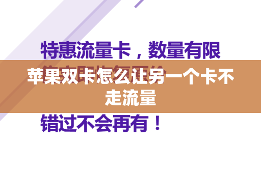 苹果双卡怎么让另一个卡不走流量
