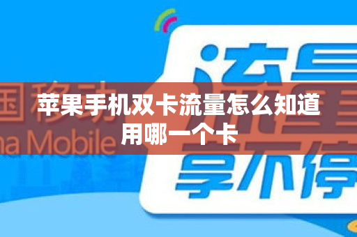 苹果手机双卡流量怎么知道用哪一个卡
