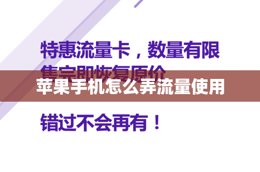 苹果手机怎么弄流量使用